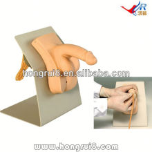 ISO Wearable Male Urethral Catheterization Simulator, male urethral